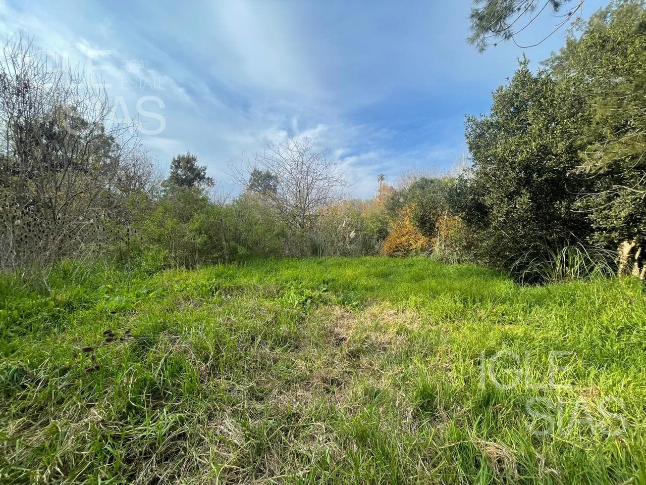 Av Solis — foto 5