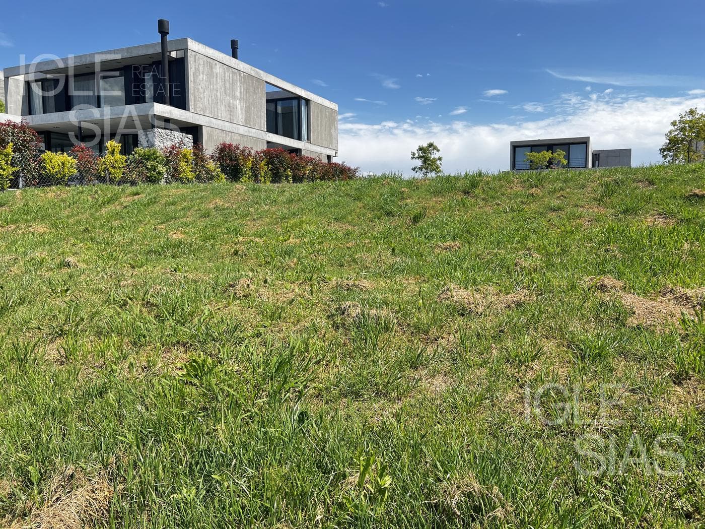 Lote al 300 — foto 5