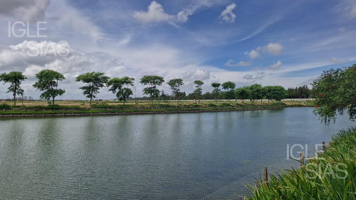 Lote Interno Silvestre — foto 2