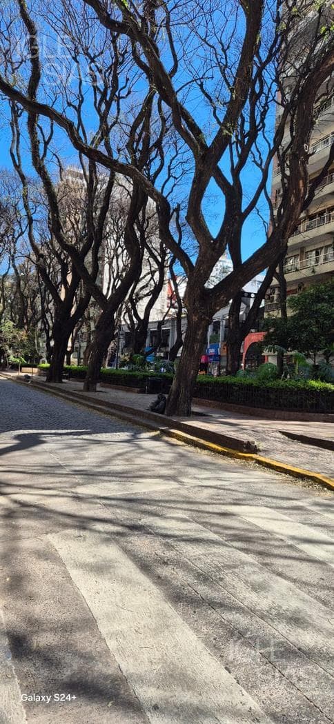 Migueletes al 1000 — foto 3