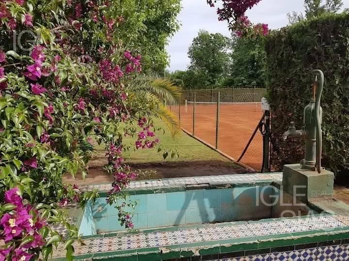 Saavedra al 800 — foto 4