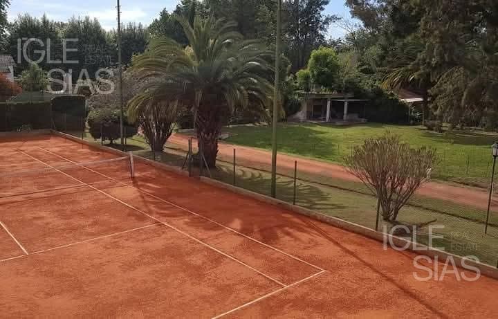 Saavedra al 800 — foto 5