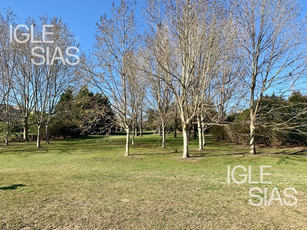 Lote al lago central — foto 3